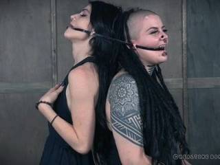 Лижет большую пизду