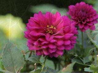 Порно секс с девушками на улице