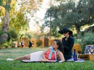 Порно секс машины и игрушки